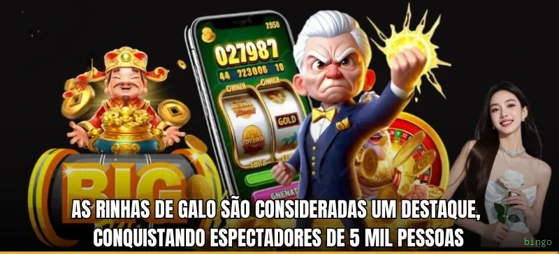 A Magia dos Caça-Níqueis no bingo